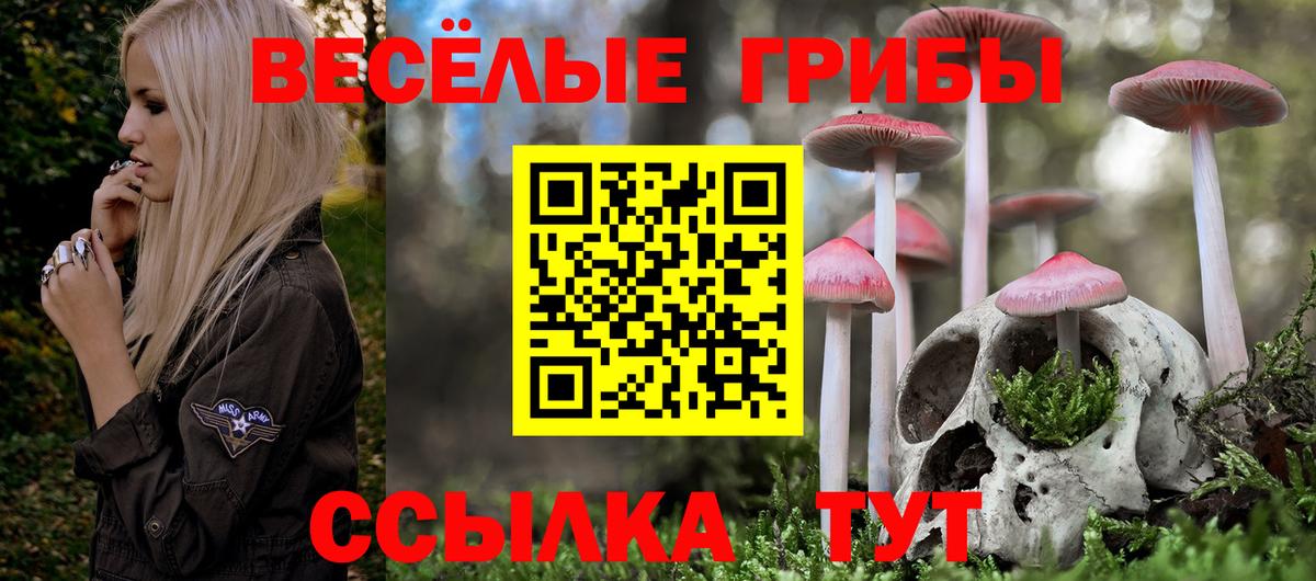 Галлюциногенные грибы мицелий Миллерово